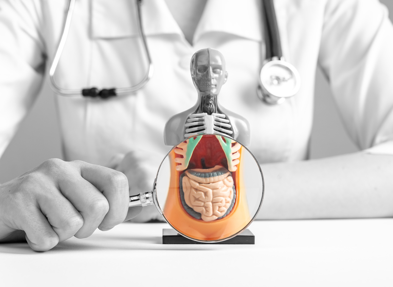 Internal Organ Care: The Scope of Visceral Surgery Explained